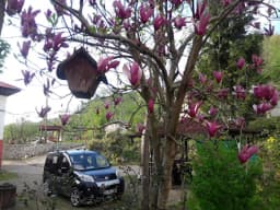 Arılı İlkokulu - Photo