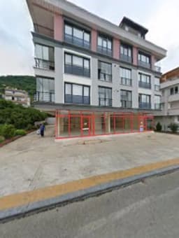 Turuncu Kreş - Fotoğraf