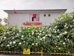 Fatma Uslu Anaokulu - Fotoğraf