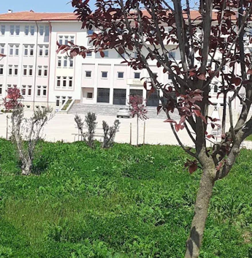 Şehit Ömür Ertuğrul Sarı Anadolu Lisesi - Fotoğraf