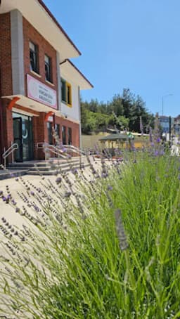 Niksar Şifa Anaokulu - Photo