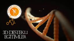 Zehra Okulları - Photo