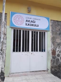 Avlağı Köyü İlkokulu - Fotoğraf
