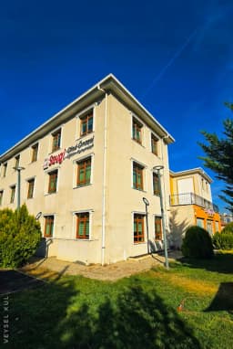 Sevgi Papatyalari - Fotoğraf