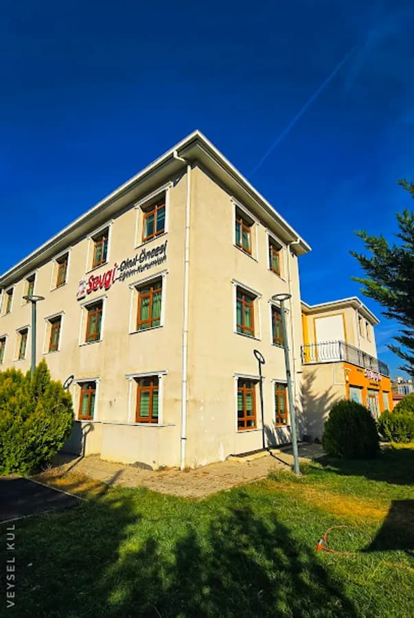 Sevgi Papatyalari - Fotoğraf