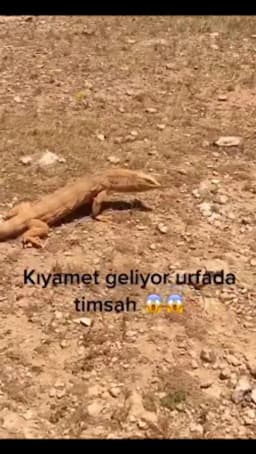 Şehit Murat Erdem Anaokulu - Fotoğraf