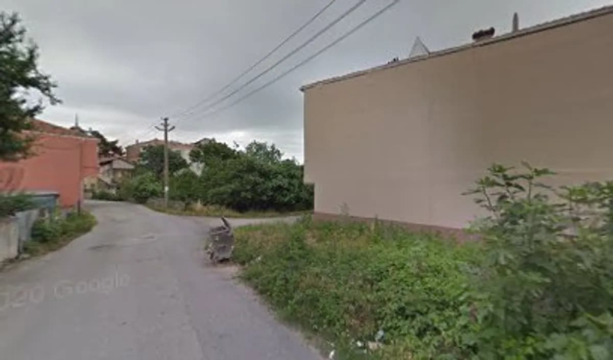 Özel Neşeli Penguen Anaokulu - Photo