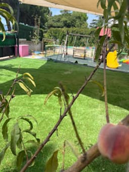 Özel Aliağa Yalı Kuzey Anaokulu - Photo