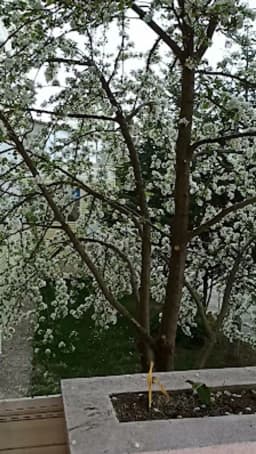 Erdoğan Akdağ Fen Lisesi - Fotoğraf