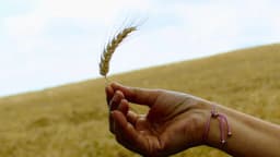 Balıkesir Orman Anaokulu - Fotoğraf