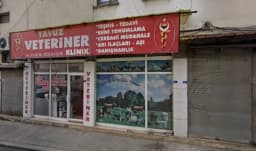 Terme Özel Eğitim Anaokulu - Photo