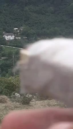 Divantürk Şehit İrfan Ünceli İlkokulu Ortaokulu - Fotoğraf