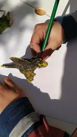 Mavi Yeşil Çizgi Kreş ve Anaokulu - Fotoğraf