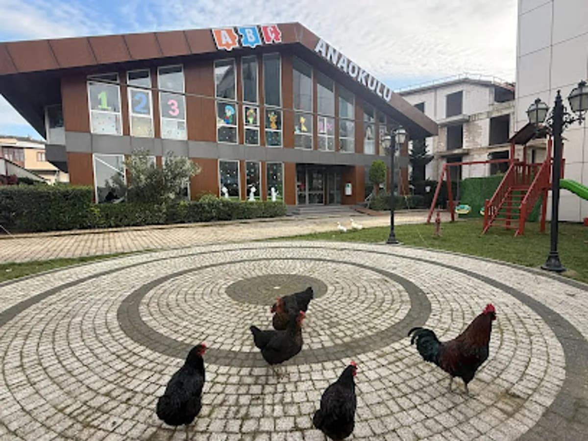 Özel Gebze Abc Anaokulu