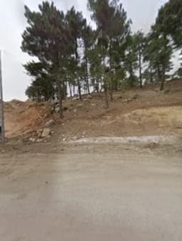 Büyüksofulu Şehit Ziya Şahin İlkokulu - Fotoğraf