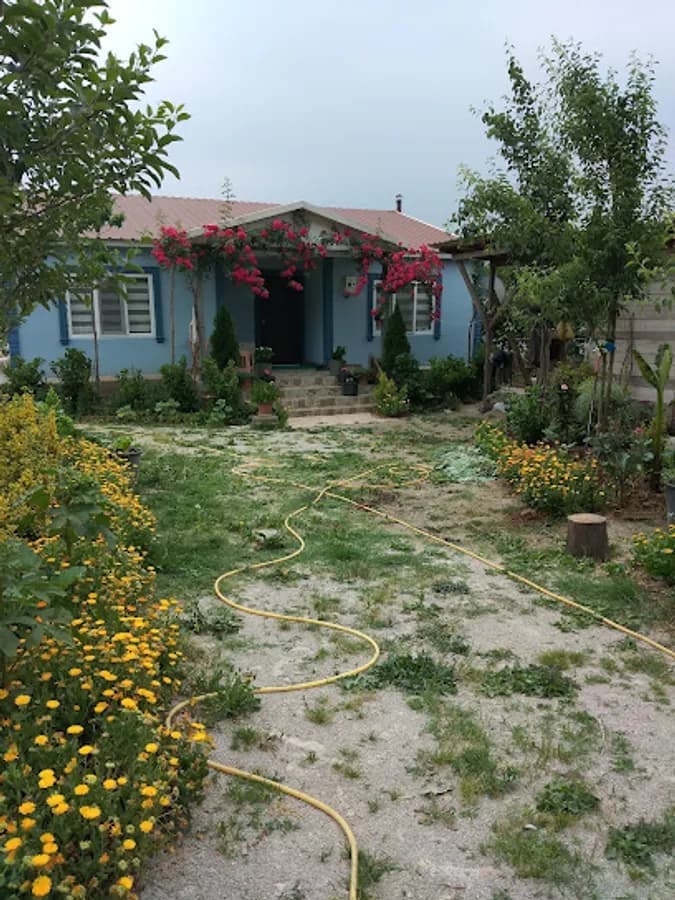 Hendek Orhangazi Anadolu Lisesi