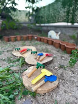 Pi Orman Okulu - Fotoğraf