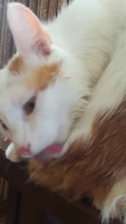 Bulut Ege Anaokulu - Fotoğraf