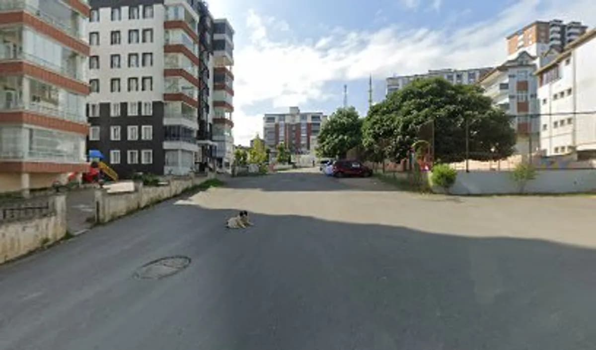 Özel Fatsa Vefa İlkokulu - Fotoğraf