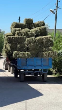 Bulduklu İlkokulu - Photo