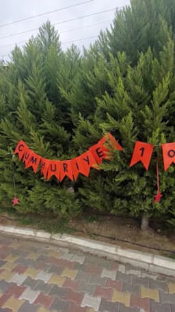 Bilge Arılar Anaokulu Nazilli - Fotoğraf