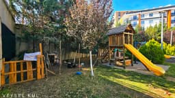 Sevgi Papatyalari - Fotoğraf