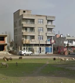 Şehit Çavuş Haydar Arda Erertingi Ortaokulu - Photo