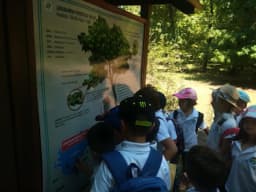 Özel Marmaris Çamlıca Anaokulu & Marmaris Anaokulları - Fotoğraf