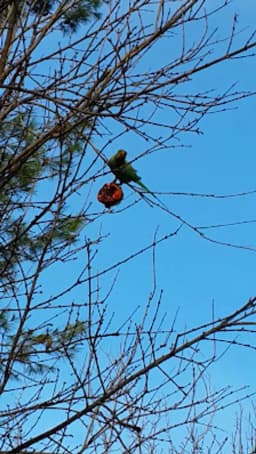 Özel Erte Anaokulu - Fotoğraf