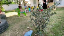 Düş Mucitleri Bilim Anaokulu & Mucikids E.l.c - Fotoğraf