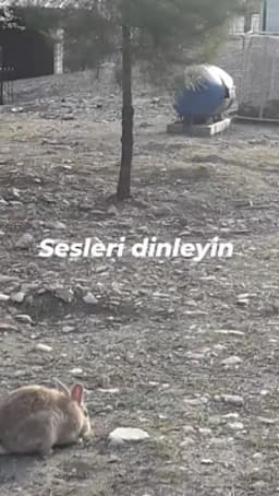 Hacı Semiha Kulaklı Anaokulu - Photo