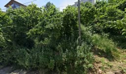 Zübeyde Hanım Anaokulu - Fotoğraf