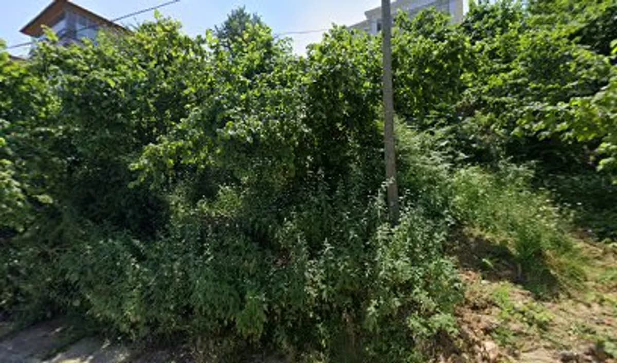 Zübeyde Hanım Anaokulu - Fotoğraf