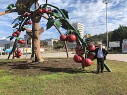 Özel Akdeniz Yıldızları Anaokulu - Fotoğraf