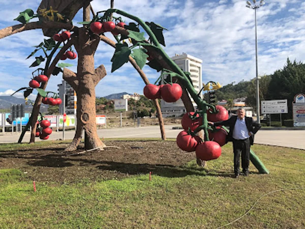 Özel Akdeniz Yıldızları Anaokulu - Fotoğraf