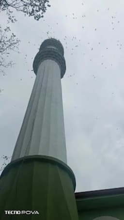 Saraydüzü Ertuğrul Işık İlköğretim Okulu - Photo