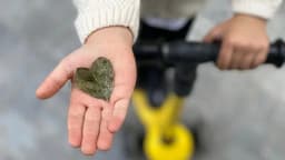 Doğa Ladin Anaokulu - Fotoğraf