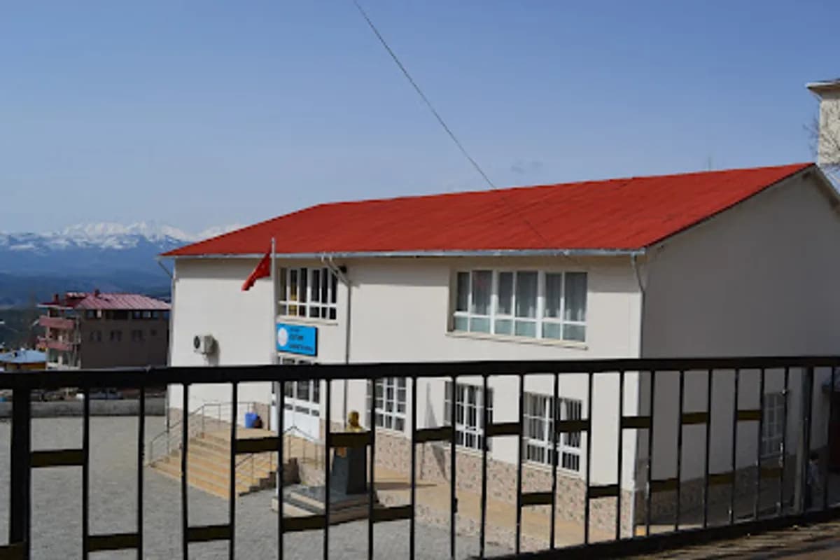 Büyüksofulu Şehit Ziya Şahin İlkokulu - Fotoğraf