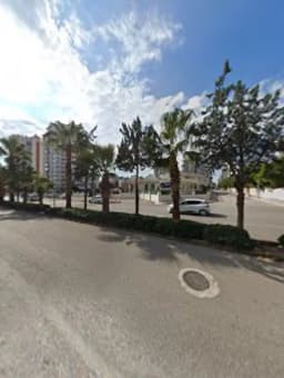 Ted Mersin Koleji Anaokulu - Fotoğraf