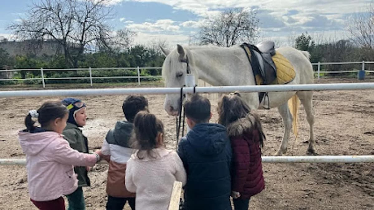 Altın Çocuk Akademi Anaokulu - Fotoğraf