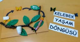 Lüleburgaz Çilek Akademi Anaokulu - Fotoğraf