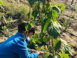 Bilge Arılar Anaokulu Nazilli - Fotoğraf