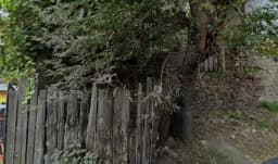 Artvin Lisesi - Fotoğraf