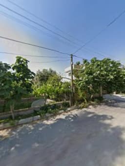 Özel Özgür Çocuklar Anaokulu - Photo