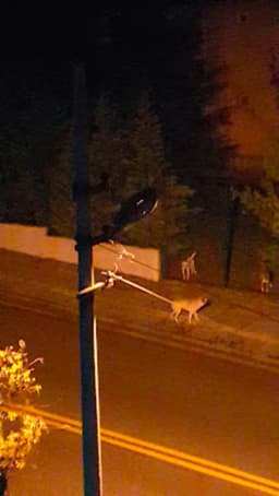 Şht. Emrah Yiğit Anaokulu - Fotoğraf