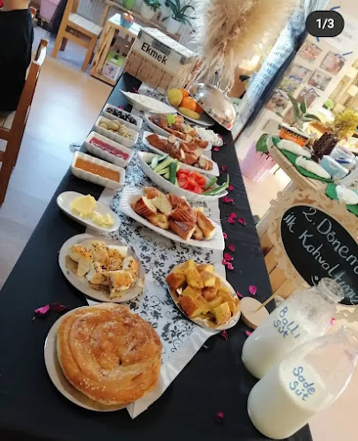 Özel Gelecek Adası Montessori Anaokulu