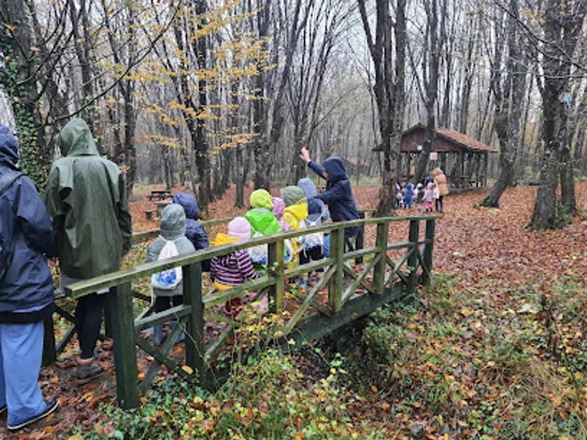 Myfrıendskıds - Fotoğraf