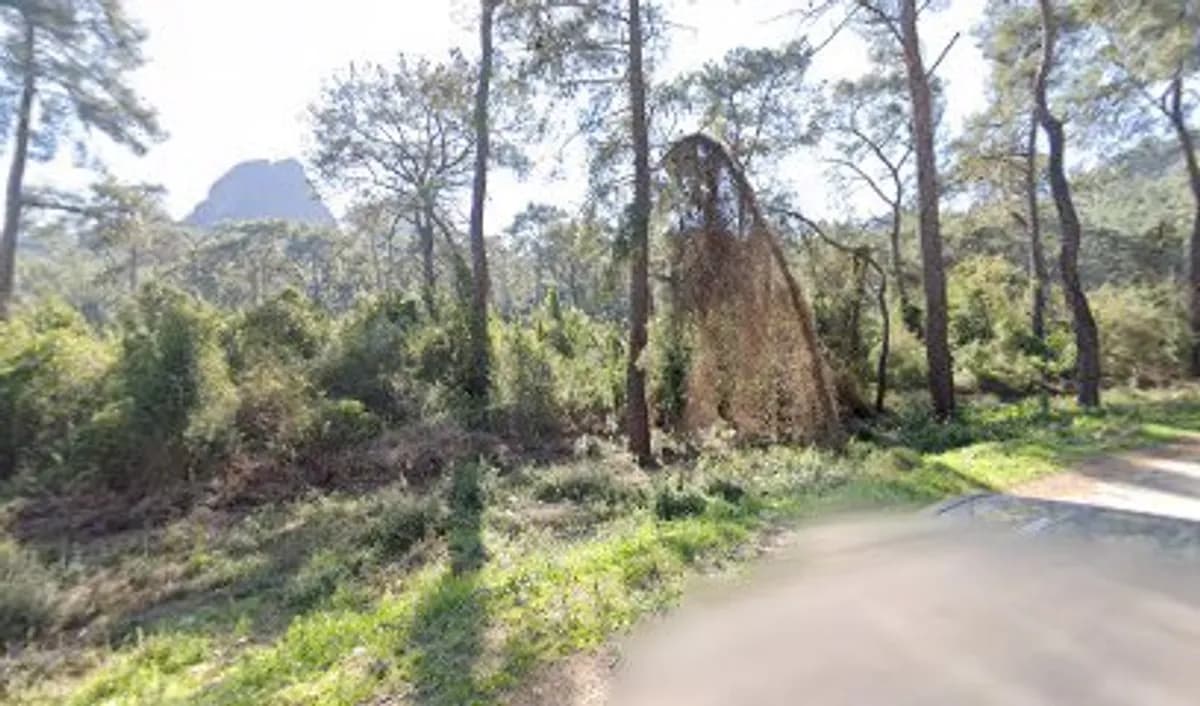 Gülçin Ersoy Anaokulu - Fotoğraf