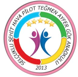 Şehit Hava Pilot Teğmen Ayfer Gök Anaokulu - Fotoğraf