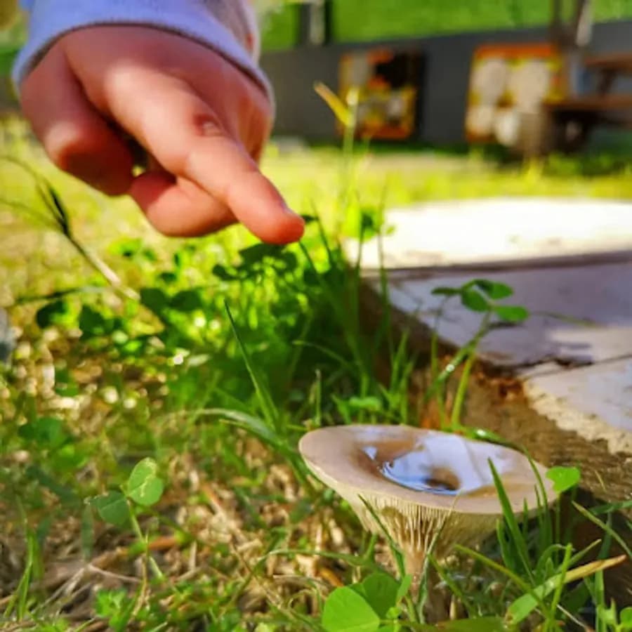 Ant Çocuk Akademi Adana Anaokulu ve Kreş - Fotoğraf